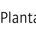 Plantago