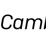 CamberW04-RegularItalic