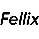 Fellix TRIAL