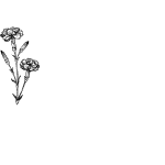 Floral-Motifs-Single Plants