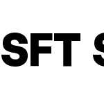 SFT Schrifted Sans