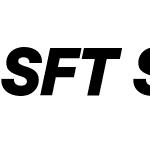 SFT Schrifted Sans