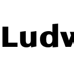 Ludwig