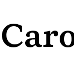 Carot Text