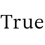 True Serif