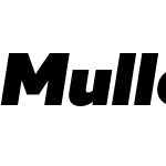 Muller Next