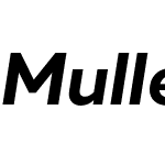 Muller Next