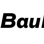 Bau Pro