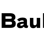 Bau Pro