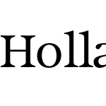 Hollander Pro