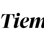 Tiempos Fine