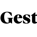 Gestura Headline