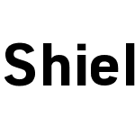 Shield Sans