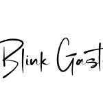 Blink Gaston PERSONAL USE