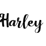 Harley Script Rough