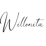 Willonita