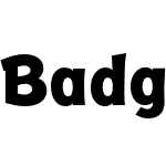 Badger Pro