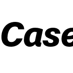 Case