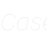 Case Micro