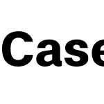 Case Text