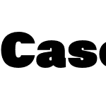 Case Text