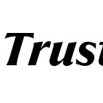 Trust 2B