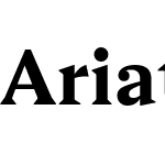 Ariata Text