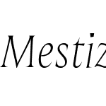 Mestiza