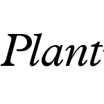 Plantin Cyr MT