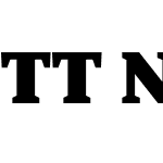 TT Norms Pro Serif