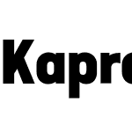 Kapra Neue Pro