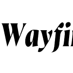 Wayfinder CF