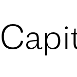 Capital Gothic