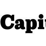 Capital Serif