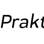 Praktika Rnd