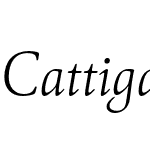 Cattigan