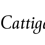 Cattigan