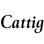 Cattigan