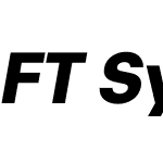 FT System Blank