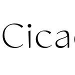 Cicada