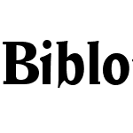 Biblon Pro