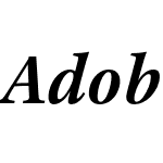 Adobe Text Pro