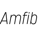 Amfibia