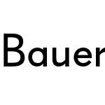 Bauer Grotesk Pro