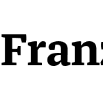 Franziska Offc Pro