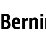 Bernino Sans