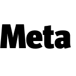 Meta Head Pro