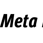 Meta Pro