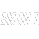 Bison