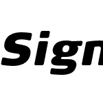 Signa Round Pro